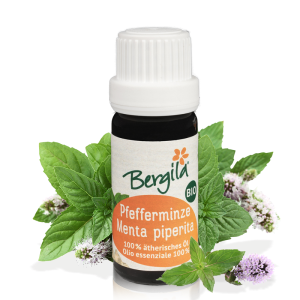 Bergila - Pebermynte - Pfefferminze