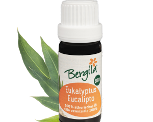 Bergila - Eucalyptus - Eukalyptus