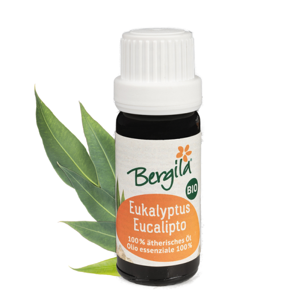 Bergila - Eucalyptus - Eukalyptus