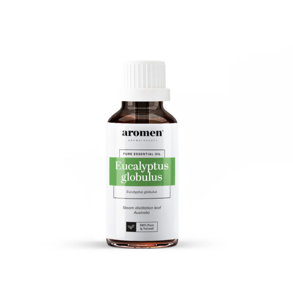 Eucalyptus globulus - Aromen
