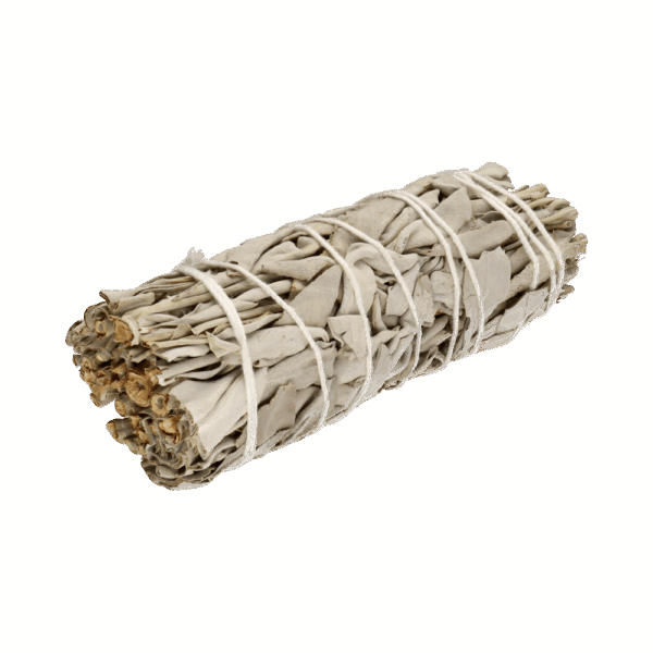 California White Sage (Salvia Apiana) – 10-11 cm