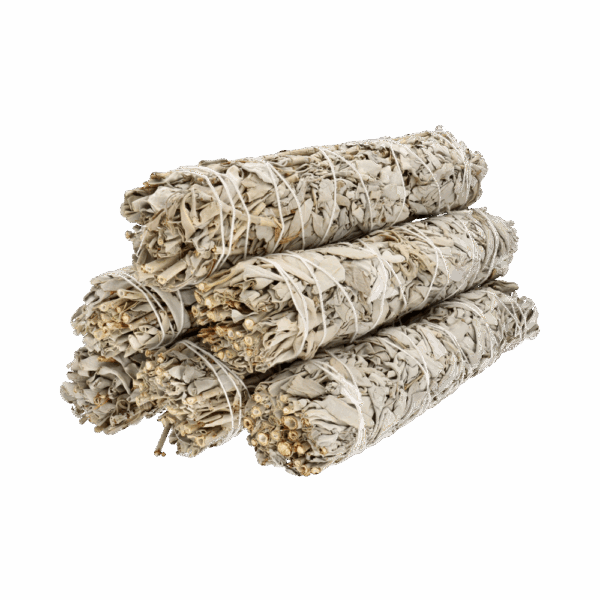 Large California White Sage (Salvia Apiana) – 23 cm - Image 3