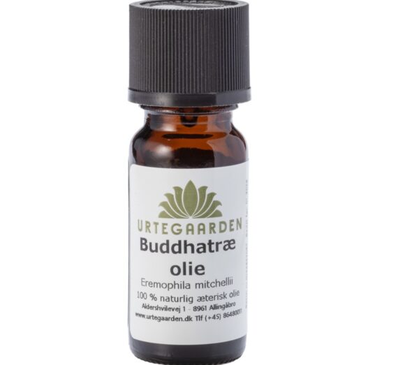 Buddhatræolie - Urtegaarden