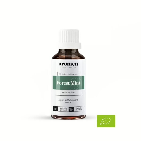 Forest Mint - Aromen